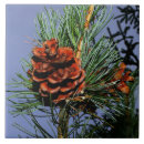 Recherche de pins carreaux Nature