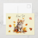 Recherche de chat orange cartes postales Chute