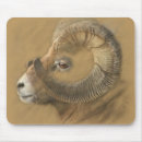 Recherche de klaxons électronique Animal