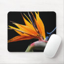 Recherche de oiseau noir tapis souris Floral
