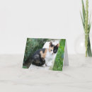 Recherche de opera vœux cartes Drôle