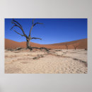 Recherche de arbre nu Afrique