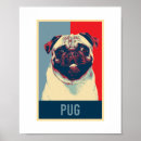 Recherche de races de chien posters Dogs