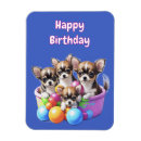Recherche de chiot drôle magnets Chihuahua