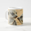 Recherche de jeunes animaux tasses Animaux dans la nature