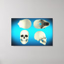 Recherche de anatomie de dents posters Médical