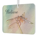 Recherche de libellule et damselfly maison deco Insecte