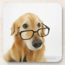 Recherche de humour bureau de dessous de verres Chiens