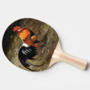 Recherche de coq raquettes ping pong Animal