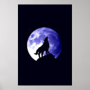 Recherche de grey wolves posters Animals