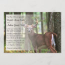 Recherche de chasseur de cerfs communs Forêt