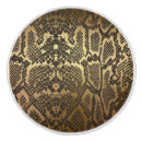 Recherche de peau de serpent maison deco Jungle