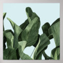 Recherche de celadon posters Feuille