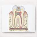 Recherche de dentaire tapis souris Médical