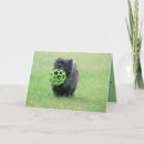 Recherche de terriers de cairn vœux cartes Animal de compagnie