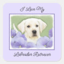 Recherche de labrador retriever noir autocollants Extracteur
