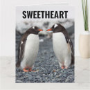 Recherche de pingouin toutes vœux cartes Pour tous