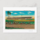 Recherche de races de cheval cartes postales Parc