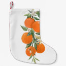 Recherche de citron chaussette de noël Aquarelle