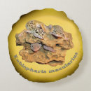 Recherche de gecko coussins Lézards