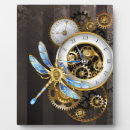 Recherche de libellules plaques Insecte