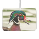 Recherche de canard voiture accessoires Faune