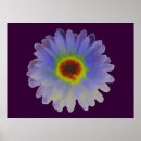 Recherche de rainbow posters Multicolore