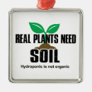 Recherche de fruits et légumes ornements Plante
