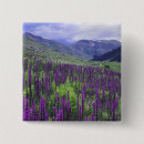 Recherche de alpine badges Nature