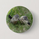 Recherche de marmotte badges Nature