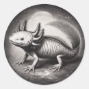 Recherche de axolotl autocollants Illustration