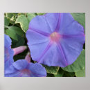 Recherche de gloire art Fleurs