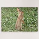 Recherche de lapin puzzles Vert