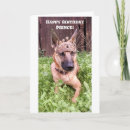 Recherche de chiens berger belges cartes postales Chiot