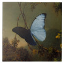 Recherche de morpho carreaux Bleu