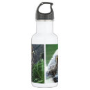 Recherche de loutre gourdes Mer