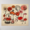 Recherche de champignon rouge posters Vintage