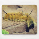 Recherche de caterpillar tapis souris Nature