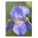 Recherche de iris photographie Joli