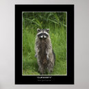 Recherche de curiosité posters Faune
