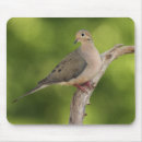 Recherche de doves tapis souris Nature