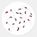 Recherche de microbes autocollants Bactérie