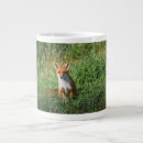Recherche de renard rouge tasses Nature