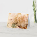 Recherche de pliant vœux cartes Photographie