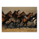 Recherche de cheval arabe cartes postales Fonctionnement