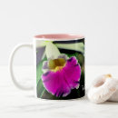 Recherche de orchidées tasses Floral