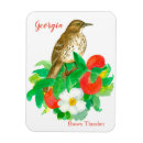 Recherche de aquarelle rose magnets Toute personne