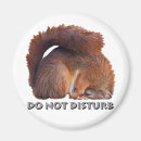 Recherche de ne pas déranger magnets Mignon