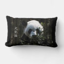 Recherche de panda bambou coussins Pandas