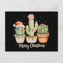 Recherche de cactus de noël cartes postales Vacances